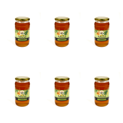 1773268845084-2215-2-x6-o1a8ls.png
