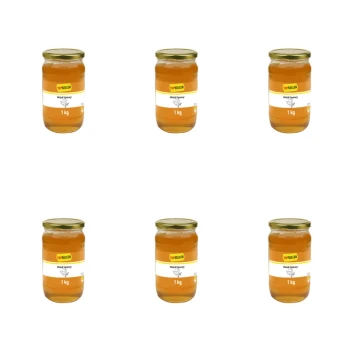 1773272063280-6443-2-x6-v688cj.png