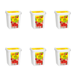 1773273253620-8157-2-x6-1tw3s9.png