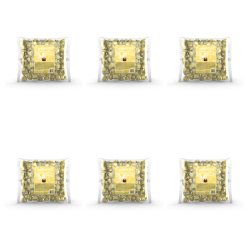 1773273312524-8239-2-x6-z1x6d4.png