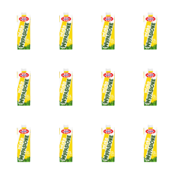 1773271172927-5317-2-x12-jt0tpl.png