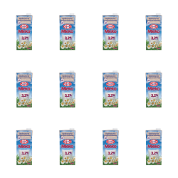 1773272025390-6396-2-x12-dy9gt2.png