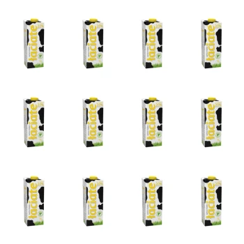 1773272497634-7000-2-x12-dgqmm.png