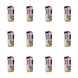 1773272498110-7001-2-x12-b9nob7.png