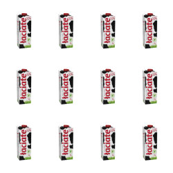 1773272523634-7041-2-x12-awoczkft.png