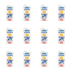 1773272525592-7045-2-x12-o19t4r.png