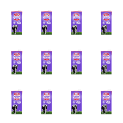 1773267579227-460-2-x12-6b4axp.png