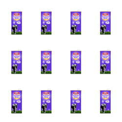 1773268622030-1886-2-x12-alnzh4.png