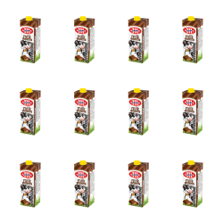 1773276036101-12140-2-x12-o5x2uw.png