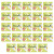1773268654549-1934-2-x24-pm7f28.png