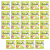 1773268655307-1935-2-x24-xtycps.png