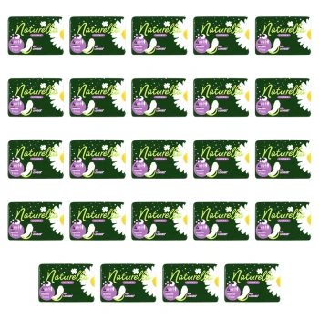 1773270278581-4097-2-x24-nuiqc.png