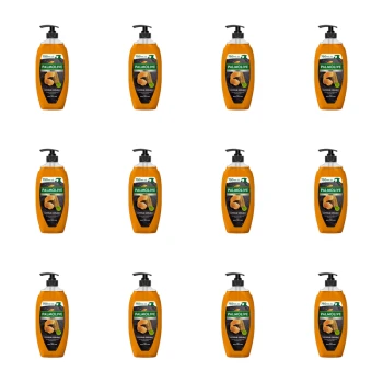 1773270258685-4066-2-x12-09vhgr.png