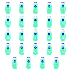 1773270259798-4068-2-x24-othjl.png
