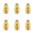 1773273463076-8435-2-x6-uq0qmd.png