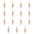 1773274290677-9590-2-x15-tym6qb.png