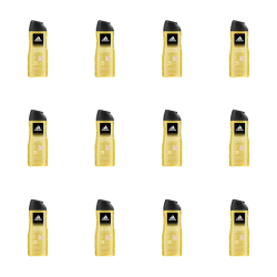 1773274315008-9630-2-x12-zh4gs.png