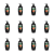 1773274767167-10314-2-x12-rb5pmi.png