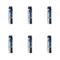 1773274808290-10374-2-x6-r7szlu.png
