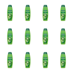 1773275091913-10792-2-x12-odtve.png