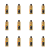 1773275354821-11187-2-x12-x73dt.png