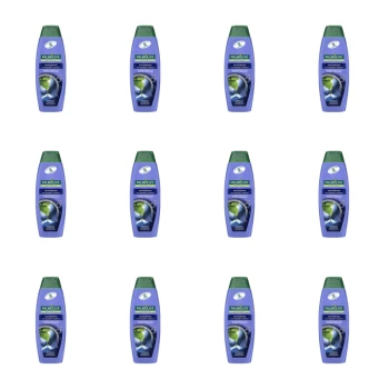 1773275373766-11217-2-x12-mgxkgn.png