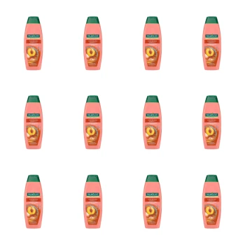 1773275374301-11218-2-x12-ecedl4.png