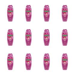 1773275567902-11485-2-x12-bb1p0p.png