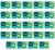 image-editor%2Fmultipack%2F1777034242493-r3668-c1-x24.png