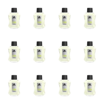 1773274255629-9537-2-x12-icyp1e.png