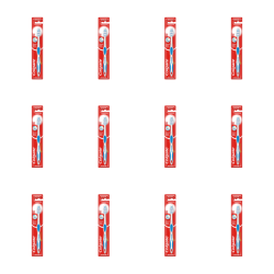 1773274893729-10504-2-x12-5qwtxi.png