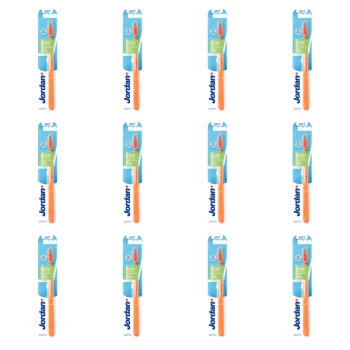 1773274899377-10512-2-x12-jjbwvk.png