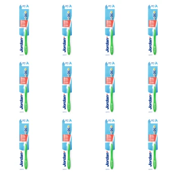 1773274903795-10516-2-x12-a7lm5f.png