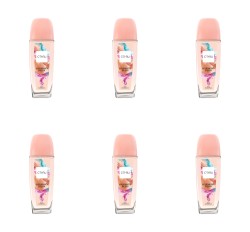 image-editor%2Fmultipack%2F1777031488532-r1065-c1-x6.png