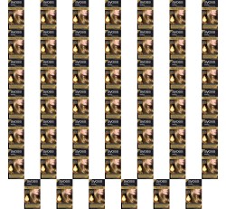 image-editor%2Fmultipack%2F1777031612546-r1190-c1-x48.png