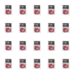 1773270311624-4149-2-x20-tibwc.png
