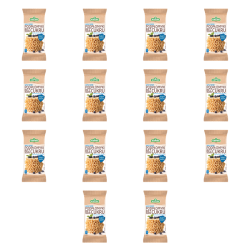 1773267427084-253-2-x14-1tdcg.png