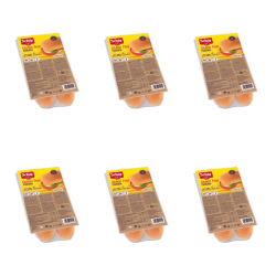 1773273567785-8578-2-x6-f8xhrg.png