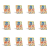1773274149319-9384-2-x12-sjn7rj.png