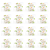 1773267657465-568-2-x16-x646pl.png