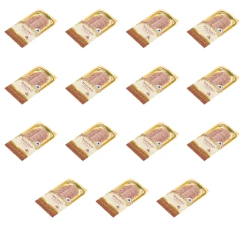 image-editor%2Fmultipack%2F1777033720238-r3180-c1-x15.png