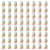 1773272113625-6506-2-x64-r0ubpg.png