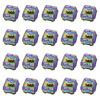 1773272120027-6515-2-x20-d7ci6k.png