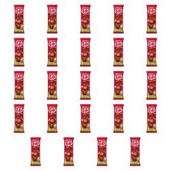 1773272443837-6921-2-x24-oteqjvr.png