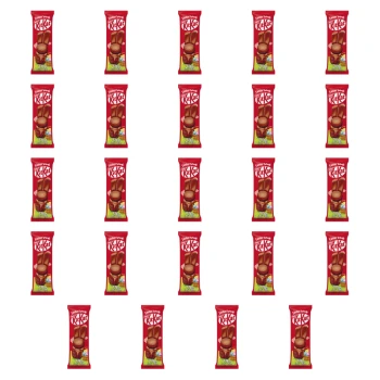 1773272443837-6921-2-x24-oteqjvr.png