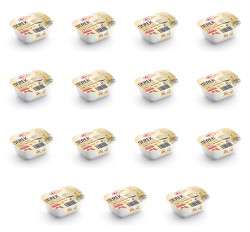 image-editor%2Fmultipack%2F1777031144804-r747-c1-x15.png