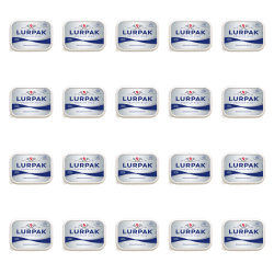 1773267567228-442-2-x20-i6ejgc.png