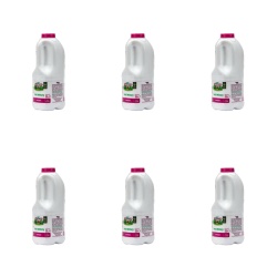 1773267576132-455-2-x6-c5fz34.png
