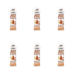 1773267939636-934-2-x6-ltt477.png