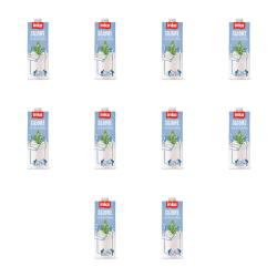 1773268136971-1210-2-x10-1wt6ze.png